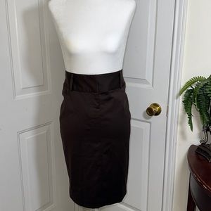 Brown Express Skirt